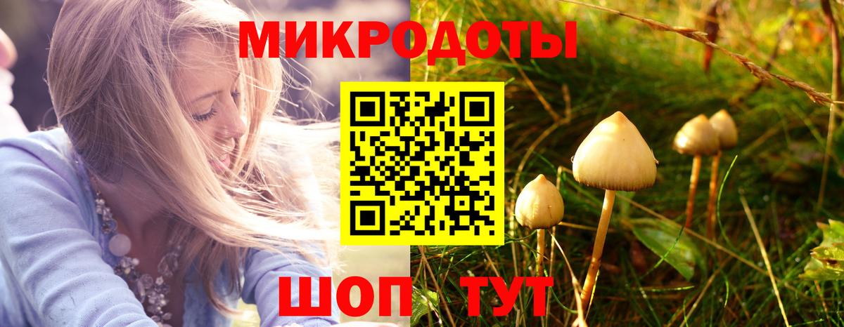 Галлюциногенные грибы мицелий  Вход с VPN  цены наркотик  Ульяновск  Псилоцибиновые грибы мицелий 