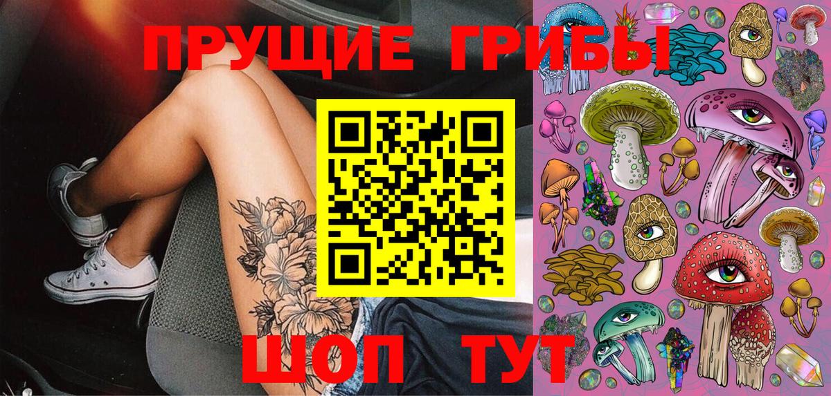 Псилоцибиновые грибы Psilocybe Ульяновск
